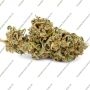 Serious Seeds AK47 Auto Smoke Buds Weed Ganja Skunk Dope Pot Images Pics Nuggets