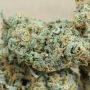 Double Seeds Blue Dream Auto Smoke Buds Weed Ganja Skunk Dope Pot Images Pics Nuggets