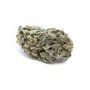 Double Seeds Quick Bud Smoke Buds Weed Ganja Skunk Dope Pot Images Pics Nuggets