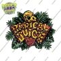 Mint Runtz Auto Feminized Marijuana Seeds by Spliff Seeds Buy Online Cheap Discounted Feminised Female Cannabis Seeds Special Of