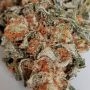 Amnesia Lemon by Silent Seeds THC Content Potency Strength CBD Height Yield Flowering Time Indica Sativa Genetics