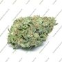 Silent Seeds White Widow Smoke Buds Weed Ganja Skunk Dope Pot Images Pics Nuggets