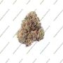 Silent Seeds Zkittlez 20 Smoke Buds Weed Ganja Skunk Dope Pot Images Pics Nuggets
