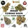 Mango Syrup Feminized by BSB Genetics THC Content Potency Strength CBD Height Yield Flowering Time Indica Sativa Genetics