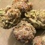 Delicious Seeds Sunday Punch Early Version Smoke Buds Weed Ganja Skunk Dope Pot Images Pics Nuggets