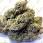 CandyGaz Feminized by Ripper Seeds THC Content Potency Strength CBD Height Yield Flowering Time Indica Sativa Genetics