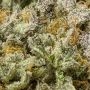 Royal Queen Seeds Sticky Queen Smoke Buds Weed Ganja Skunk Dope Pot Images Pics Nuggets