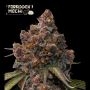 Forbidden Mochi Feminized Marijuana Strain by Superior Seedstockers For Sale Online at Cannabis Seeds Outlet