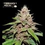Forbidden Mochi Auto Feminized Marijuana Strain by Superior Seedstockers For Sale Online at Cannabis Seeds Outlet
