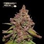 Forbidden Mochi FAST Feminized Marijuana Strain by Superior Seedstockers For Sale Online at Cannabis Seeds Outlet