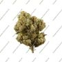 Superior Seedstockers Sagrada Amnesia Smoke Buds Weed Ganja Skunk Dope Pot Images Pics Nuggets