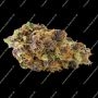 Mental Rainbow F1 Fast V Feminized by Sweet Seeds THC Content Potency Strength CBD Height Yield Flowering Time Indica Sativa Gen