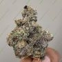 Sweet Seeds Studio 54 Stardust Auto Smoke Buds Weed Ganja Skunk Dope Pot Images Pics Nuggets