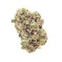 Monster Maker Feminized by Sweet Seeds THC Content Potency Strength CBD Height Yield Flowering Time Indica Sativa Genetics