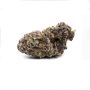 Superior Seedstockers Grannys Home Smoke Buds Weed Ganja Skunk Dope Pot Images Pics Nuggets