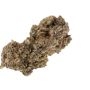 Superior Seedstockers Frosty Tooth Smoke Buds Weed Ganja Skunk Dope Pot Images Pics Nuggets