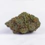 Sticky Queen Feminized by Royal Queen Seeds THC Content Potency Strength CBD Height Yield Flowering Time Indica Sativa Genetics