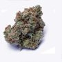Royal Queen Seeds Mexican Rush Auto Smoke Buds Weed Ganja Skunk Dope Pot Images Pics Nuggets
