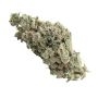 Delicious Seeds Space Cookies Auto Smoke Buds Weed Ganja Skunk Dope Pot Images Pics Nuggets