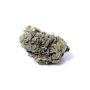 Anesia Seeds Think Tank Smoke Buds Weed Ganja Skunk Dope Pot Images Pics Nuggets