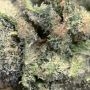Strawberry Pop Rocks Feminized by Anesia Seeds THC Content Potency Strength CBD Height Yield Flowering Time Indica Sativa Geneti