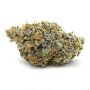 Anesia Seeds Roswell Code Smoke Buds Weed Ganja Skunk Dope Pot Images Pics Nuggets