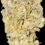 Fast Buds Rainbow Melon Smoke Buds Weed Ganja Skunk Dope Pot Images Pics Nuggets