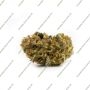 Greenhouse Seeds AMS Smoke Buds Weed Ganja Skunk Dope Pot Images Pics Nuggets