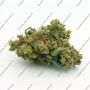 Greenhouse Seeds Cheese Smoke Buds Weed Ganja Skunk Dope Pot Images Pics Nuggets