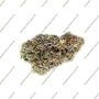 Greenhouse Seeds Cloud Walker Smoke Buds Weed Ganja Skunk Dope Pot Images Pics Nuggets