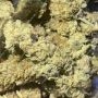 Greenhouse Seeds Holy Snow Smoke Buds Weed Ganja Skunk Dope Pot Images Pics Nuggets