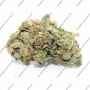 Greenhouse Seeds Kings Kush Smoke Buds Weed Ganja Skunk Dope Pot Images Pics Nuggets