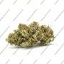 OO Seeds Gorilla Auto Smoke Buds Weed Ganja Skunk Dope Pot Images Pics Nuggets