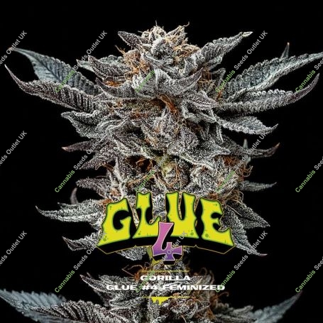 Gorilla Glue 4 Marijuana Strain by Bigger Stronger Faster For Sale Online at Cannabis Seeds Outlet
