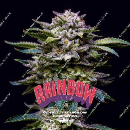 Gorilla Rainbow Marijuana Strain by Bigger Stronger Faster For Sale Online at Cannabis Seeds Outlet