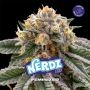 Nerdz Marijuana Strain by Bigger Stronger Faster For Sale Online at Cannabis Seeds Outlet