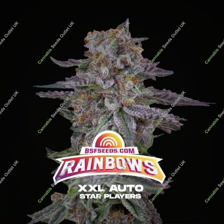 Rainbows XXL Auto Marijuana Strain by Bigger Stronger Faster For Sale Online at Cannabis Seeds Outlet