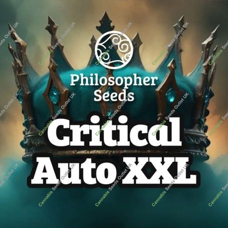 Critical Auto XXL Marijuana Strain by Philosopher Seeds For Sale Online at Cannabis Seeds Outlet