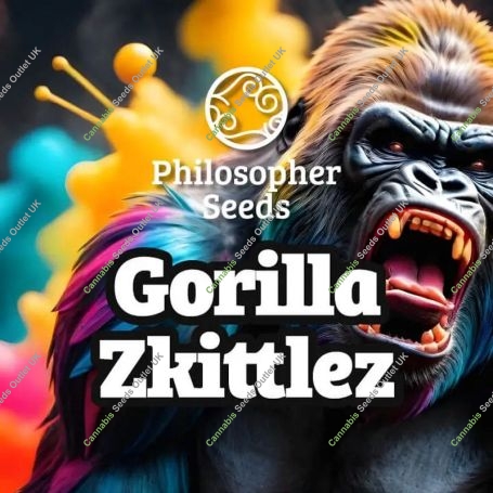 Gorilla Zkittles Marijuana Strain by Philosopher Seeds For Sale Online at Cannabis Seeds Outlet