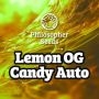 Lemon OG Candy Auto Marijuana Strain by Philosopher Seeds For Sale Online at Cannabis Seeds Outlet