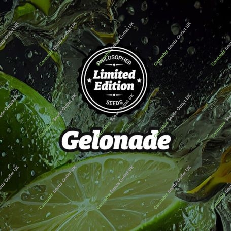 Gelonade Marijuana Strain by Philosopher Seeds For Sale Online at Cannabis Seeds Outlet