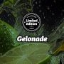 Gelonade Marijuana Strain by Philosopher Seeds For Sale Online at Cannabis Seeds Outlet