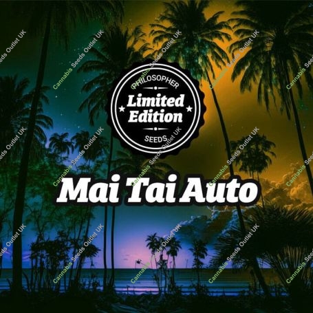 Mai Tai Auto Marijuana Strain by Philosopher Seeds For Sale Online at Cannabis Seeds Outlet