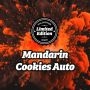 Mandarin Cookies Auto Marijuana Strain by Philosopher Seeds For Sale Online at Cannabis Seeds Outlet