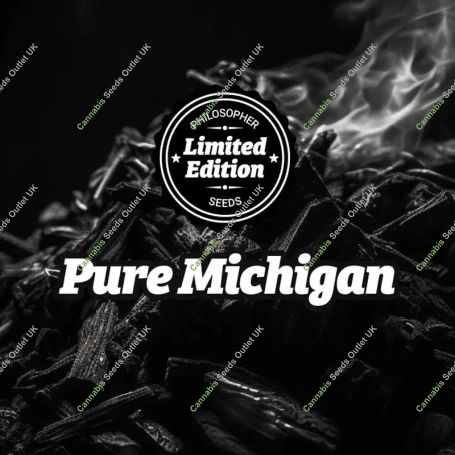 Pure Michigan Marijuana Strain by Philosopher Seeds For Sale Online at Cannabis Seeds Outlet