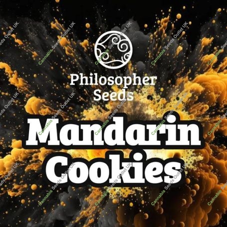Manderin Cookies Marijuana Strain by Philosopher Seeds For Sale Online at Cannabis Seeds Outlet