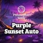 Purple Sunset Auto Marijuana Strain by Philosopher Seeds For Sale Online at Cannabis Seeds Outlet