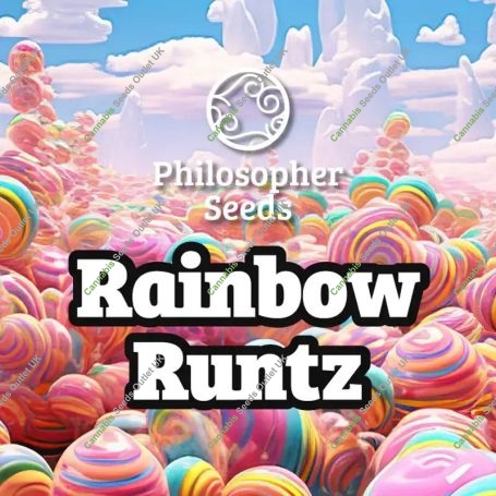 Rainbow Runtz Marijuana Strain by Philosopher Seeds For Sale Online at Cannabis Seeds Outlet