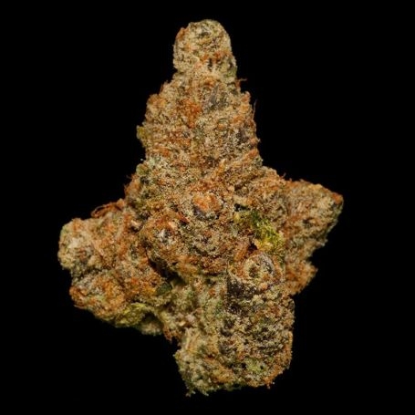 buy Candy Runtz Fem by Flash Seeds at Cannabis Seeds Outlet UK