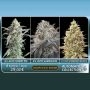 Feminized Collection mixed collection no6 by Advanced Seeds For Sale Online at Cannabis Seeds Outlet